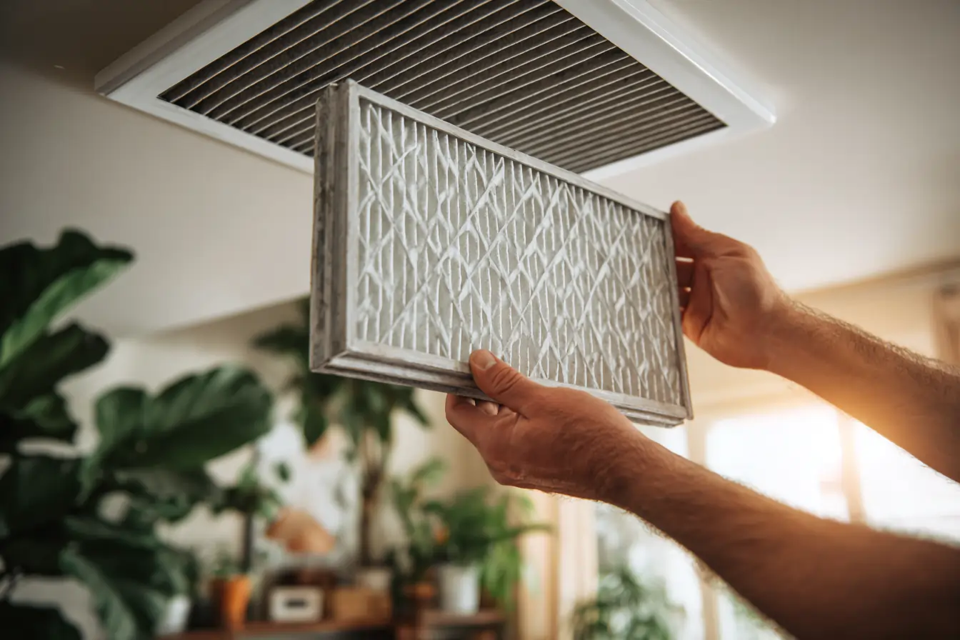 air filtration mold services